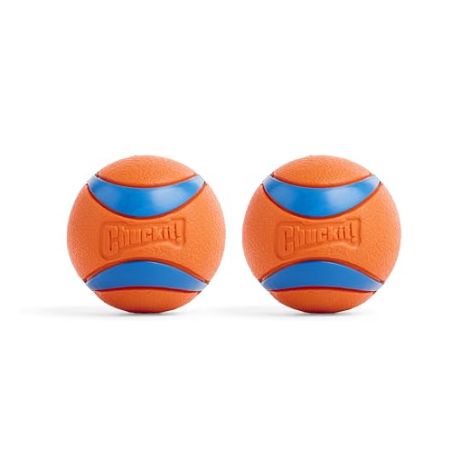 Chuckit! Ultra Ball Dog Toy - Medium Bouncy Fetch Balls For Dogs 20-60 lbs - Made from Durable Rubber - Floating Water Pet Toys - Size Medium - 2.5-inch Diameter - Pack of 2