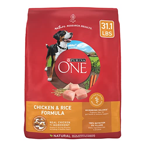 Purina ONE Chicken and Rice Formula Dry Dog Food - 31.1 lb. Bag