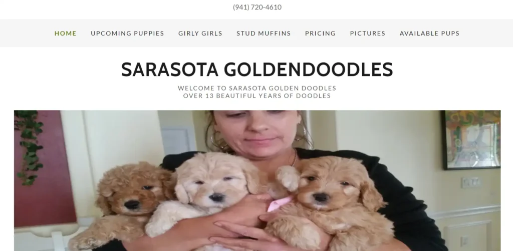 12 Best Goldendoodle Rescues in Florida: Ultimate Guide