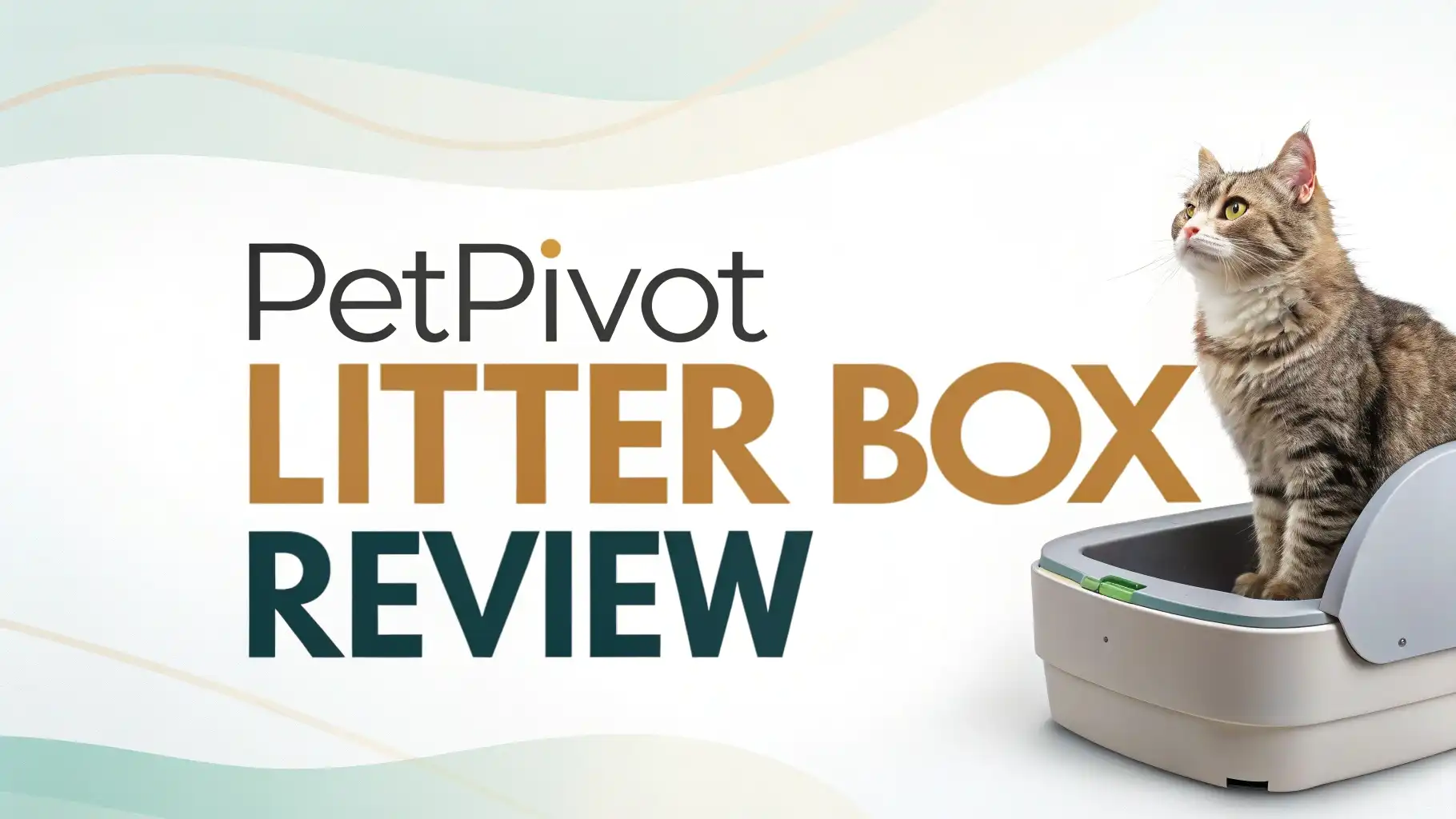 PetPivot AutoScooper 11 Review 2026: Automatic Litter Box