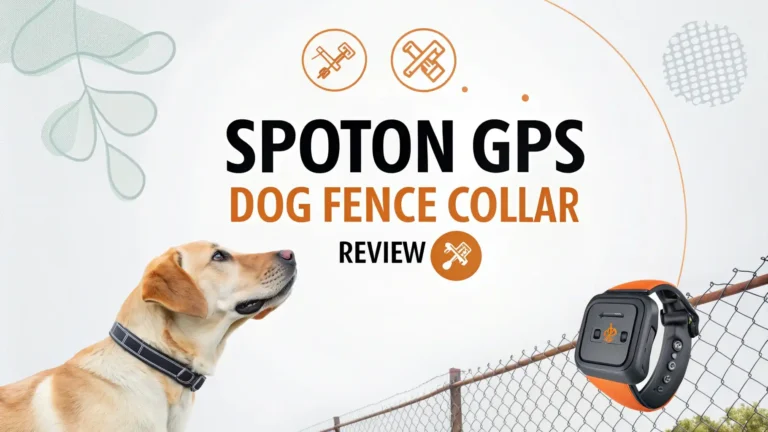 SpotOn GPS Dog Fence Collar Review