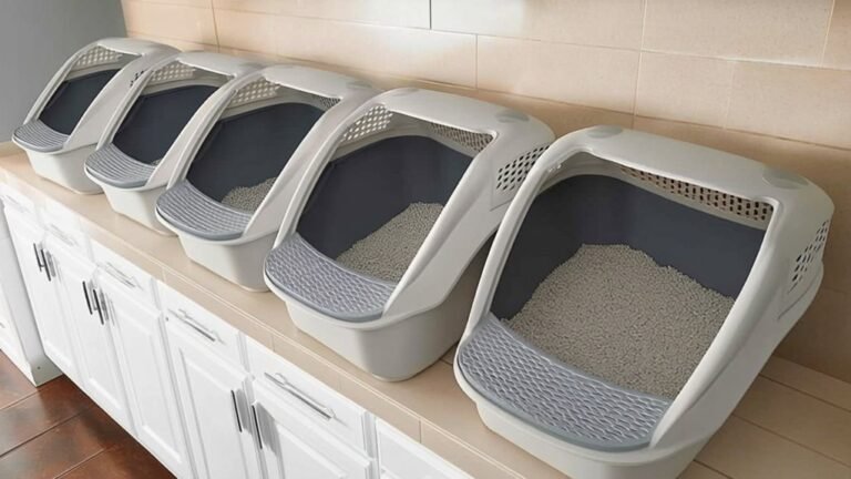 deep litter boxes list