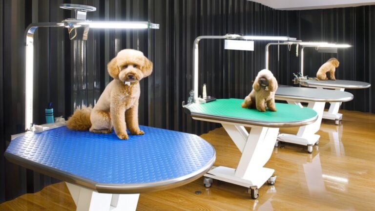 top non slip grooming tables