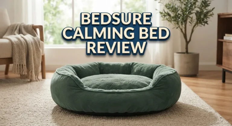 Bedsure Calming Bed Review: Comfort and Support for Dogs & Cats