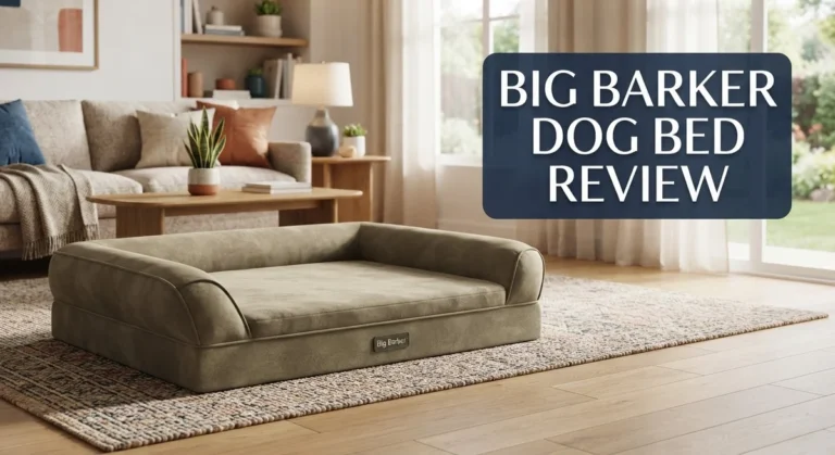 Big Barker Dog Bed Review: Orthopedic Support for Dogs