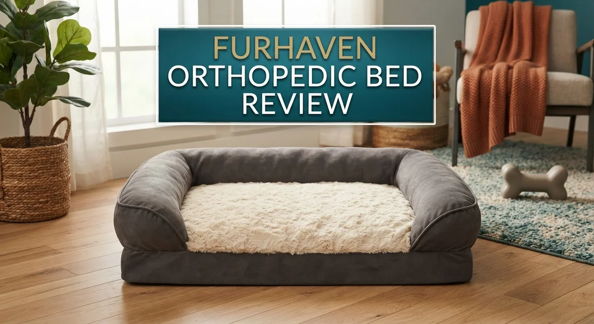 Furhaven Orthopedic Bed Review: Features, Benefits & Alternatives